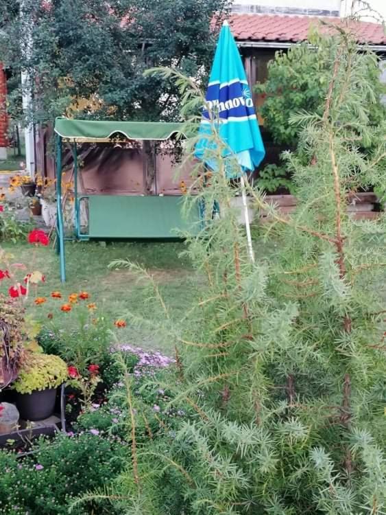 Apartman Marija Zlatibor Exterior photo