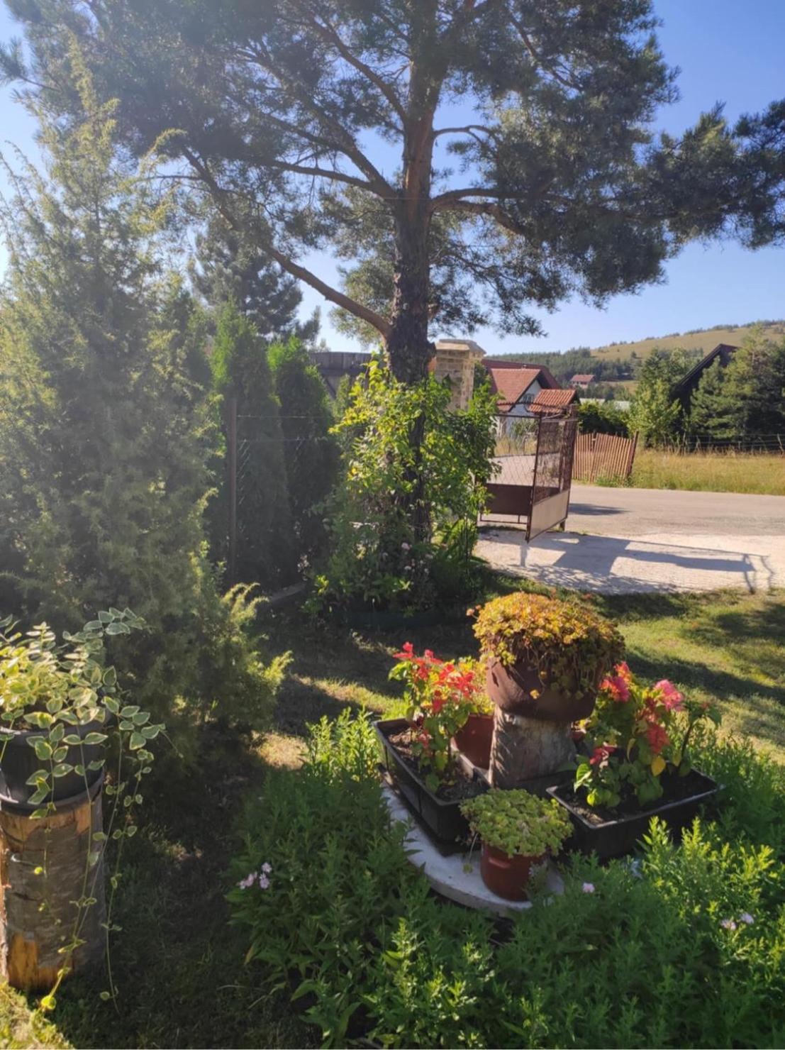 Apartman Marija Zlatibor Exterior photo